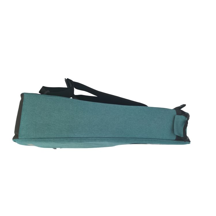 Ritter-Evilard-Alto-Sax-Aqua-Green-Zubehoer-zu-Alt_0005.jpg
