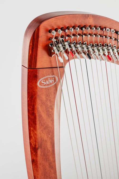 Klappenharfe-Salvi-Modell-T2-cherry-wood-_0006.jpg