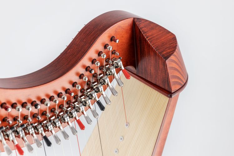 Klappenharfe-Salvi-Modell-T2-cherry-wood-_0007.jpg