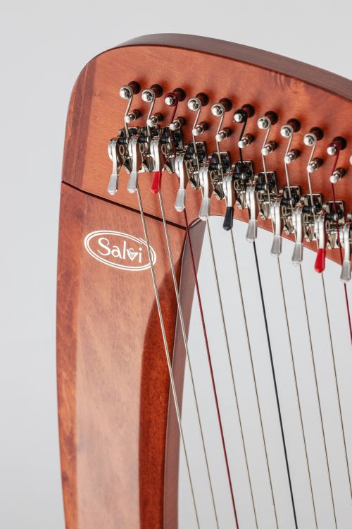 Klappenharfe-Salvi-Modell-T2-natural-matt-_0008.jpg