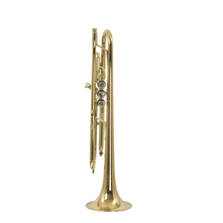 B-Trompete-Carol-Brass-Junior-lackiert-gold-_0002.jpg