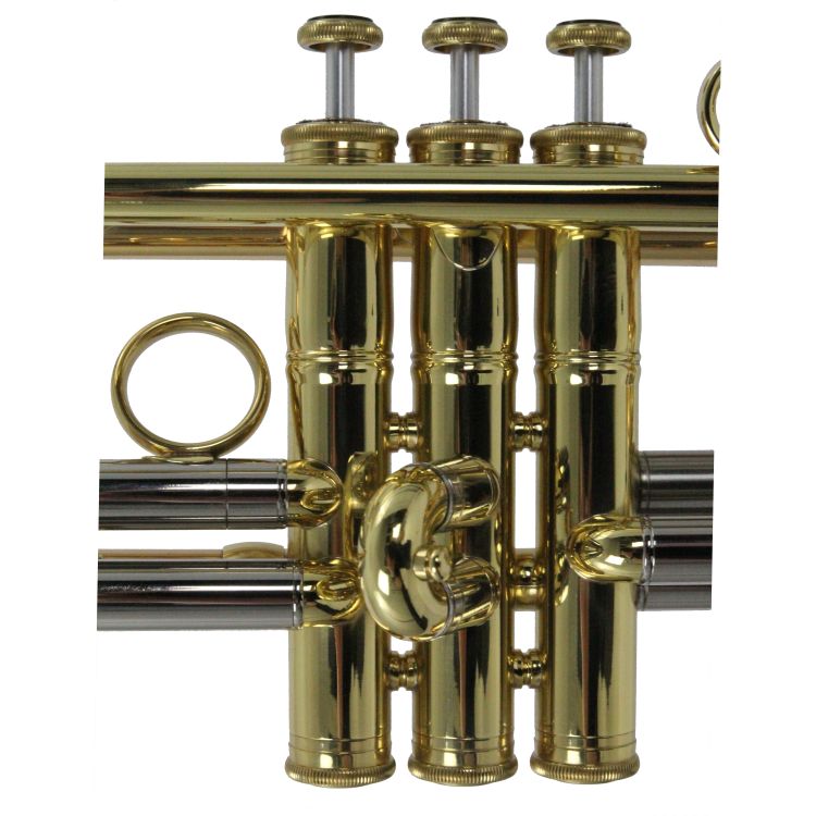 B-Trompete-Carol-Brass-Advanced-lackiert-gold-_0013.jpg