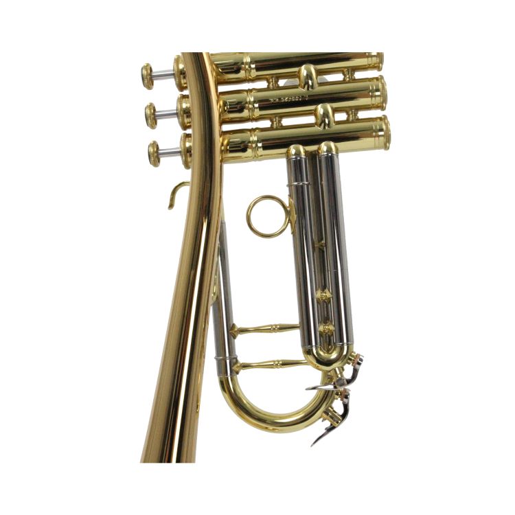 B-Trompete-Carol-Brass-Up-lackiert-gold-_0005.jpg