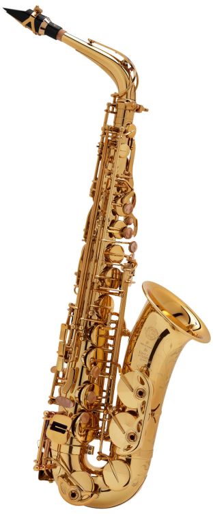 Alt-Saxophon-Selmer-SA-80-Serie-II-lackiert-gold-_0002.jpg