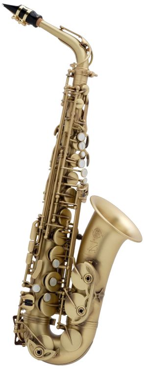 Alt-Saxophon-Selmer-Reference-patiniert-gold-_0002.jpg