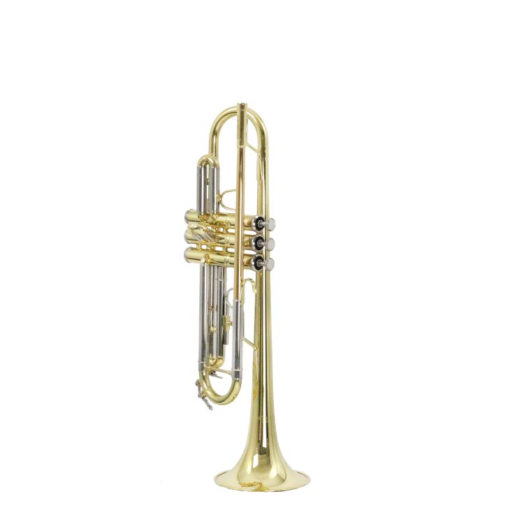 B-Trompete-Carol-Brass-Basic-lackiert-gold-_0004.jpg