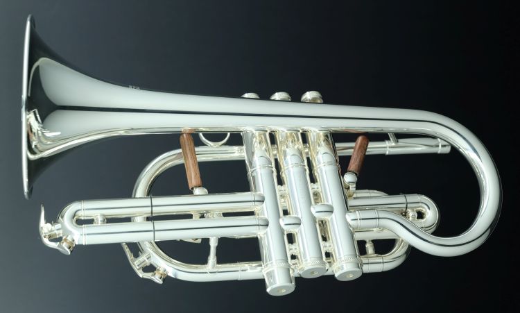 Cornet-Carol-Brass-CCR-6882T-GSS-Bb-S-versilbert-_0003.jpg