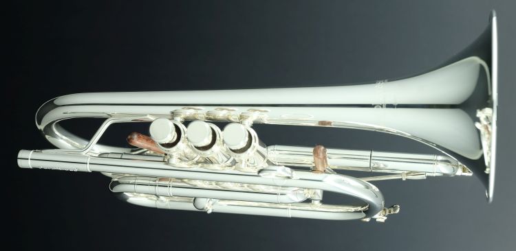 Cornet-Carol-Brass-CCR-6882T-GSS-Bb-S-versilbert-_0004.jpg